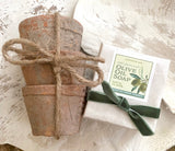 $25 Bundle: Petite Terracotta Pot Trio + Olive Oil Soap