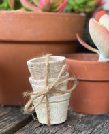[Set of 3: Mossy White Terracotta] Clay Pots
