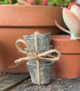[Set of 3: Earthy Slate Terracotta] Clay Pots