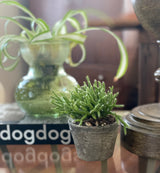 Petite Terracotta Clay Pots