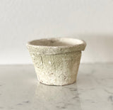 [Mossy White Terracotta] petite clay pot