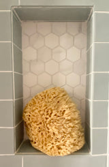 Natural Sea Sponges