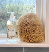 Natural Sea Sponges